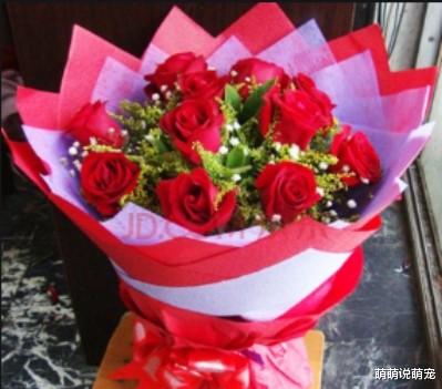 星座女|心理测试：第一眼看到你相中哪束鲜花？测你最近会有什么惊喜降临！