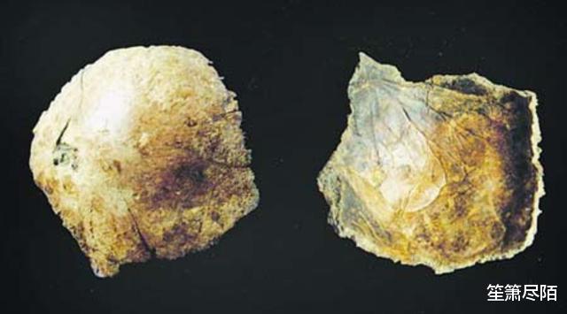 非洲■推翻“非洲起源说”! 河南挖出10万年前宝贝, 中国祖宗不再是非洲人