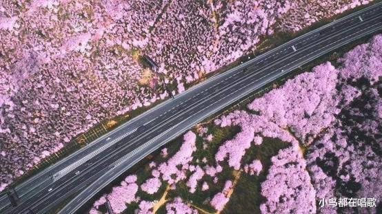 西藏|中国最易弄混的省份：省内人觉得是个省，省外人又觉得是个市？