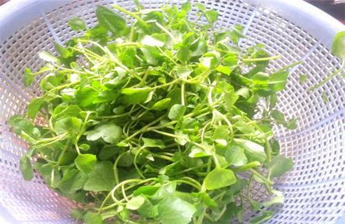 长寿|想要50岁还不长斑，经常吃它不显老，是自然界天然的褪黑素