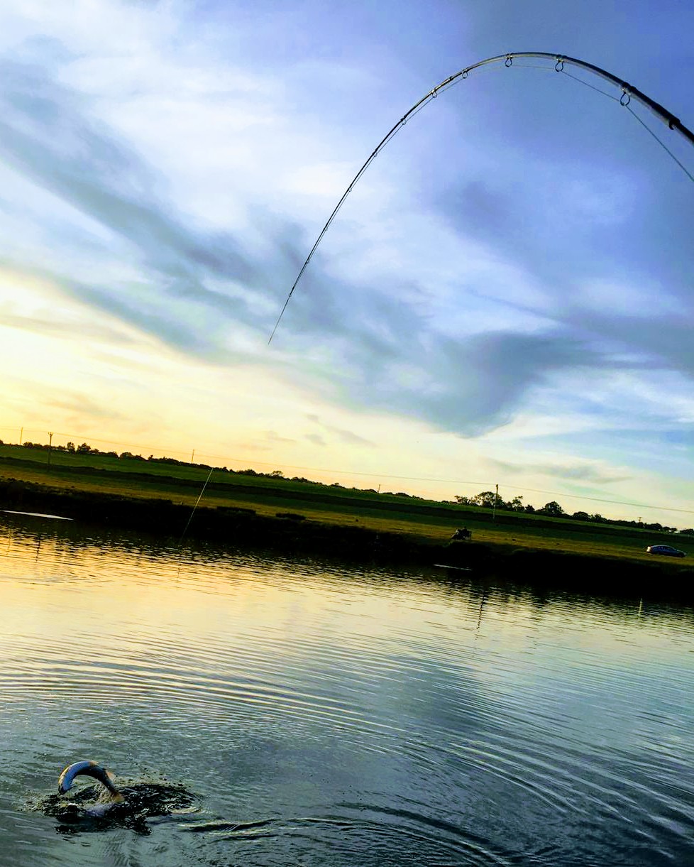 鲫鱼|【鱼基础知识】吃什么、何时吃、吃多少，钓友懂中鱼多