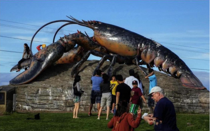 |活了140岁的龙虾长啥样?直接被赐“免死金牌”,只能看不能吃