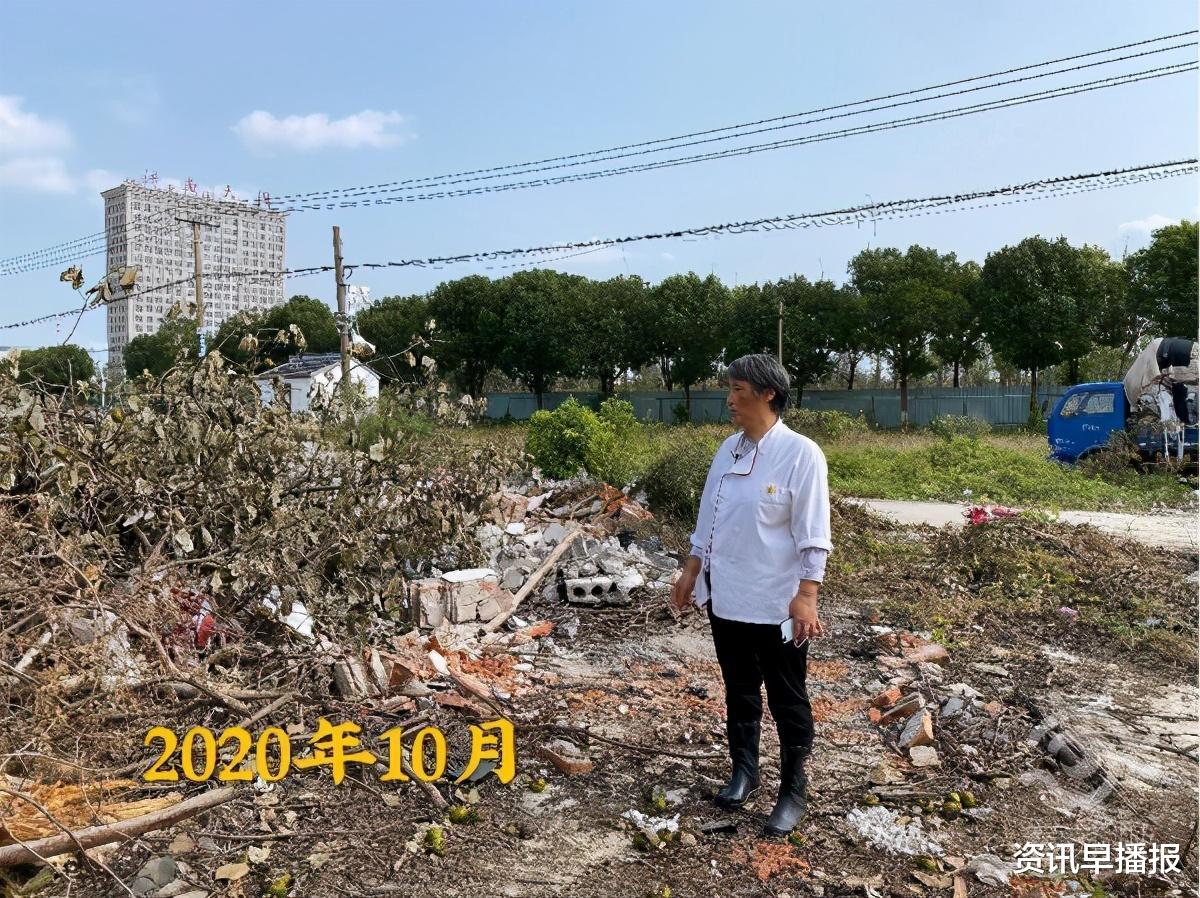 资讯早播报|苏州黄桥一棵满载50年回忆的柿子树，挂满果实突然被砍……