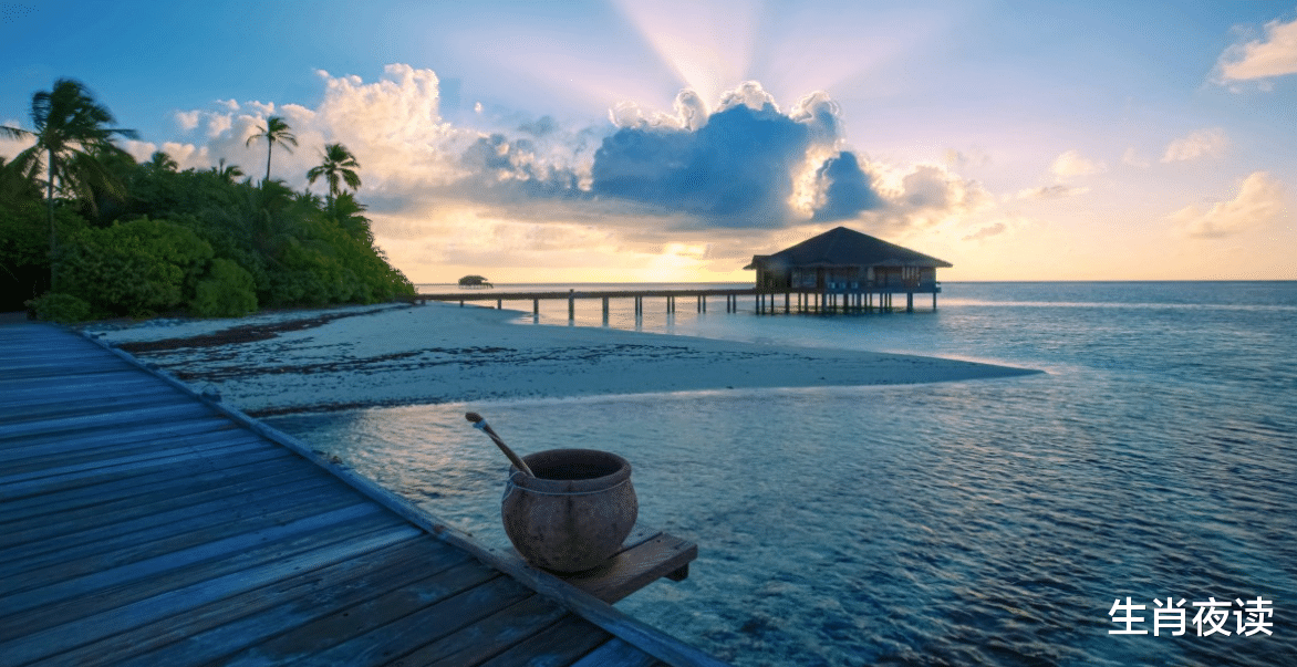 |11月底，桃花送情，收获心中良缘，邂逅旧情，真爱共度余生