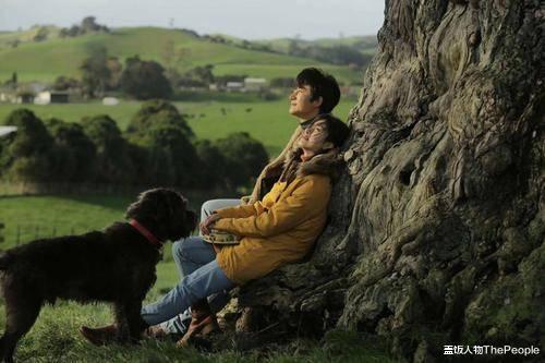 芳华@《芳华》女主结婚，三位女演员和她们被放大的戏梦人生
