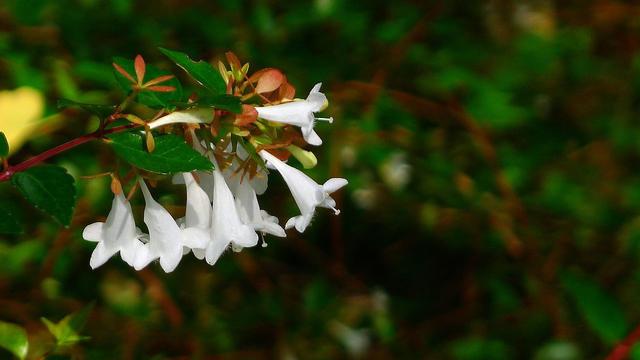 生肖|能赚会花的星座女，可以成为家庭的主心骨，让人有安全感