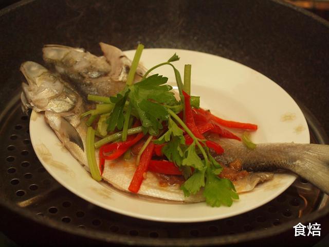 海鱼|此鱼中国独有，曾被认为是最好吃的海鱼，营养高，但很少有人知道