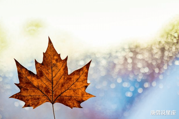 金牛座@最爱试探恋人是否真心的三个星座