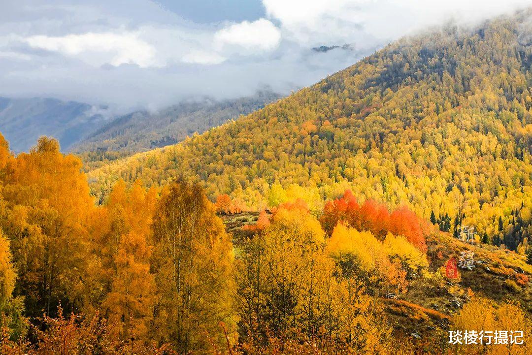 无锡|这个被人们遗忘的民族，在中国的边境，建起了一个童话世界