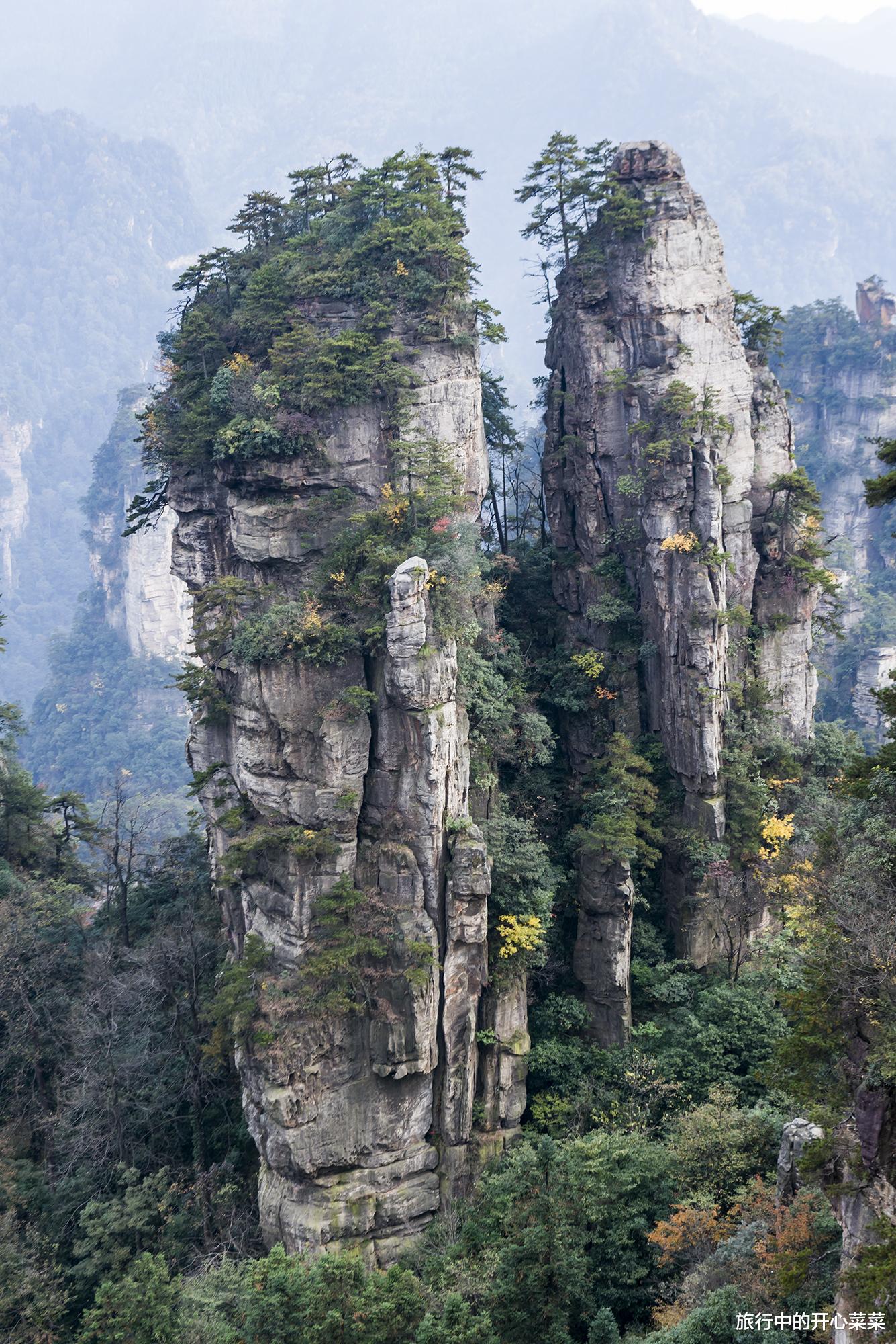 张家界|中国被游客误解最深的景区，以为遍地是坑，其实让人感觉很温暖