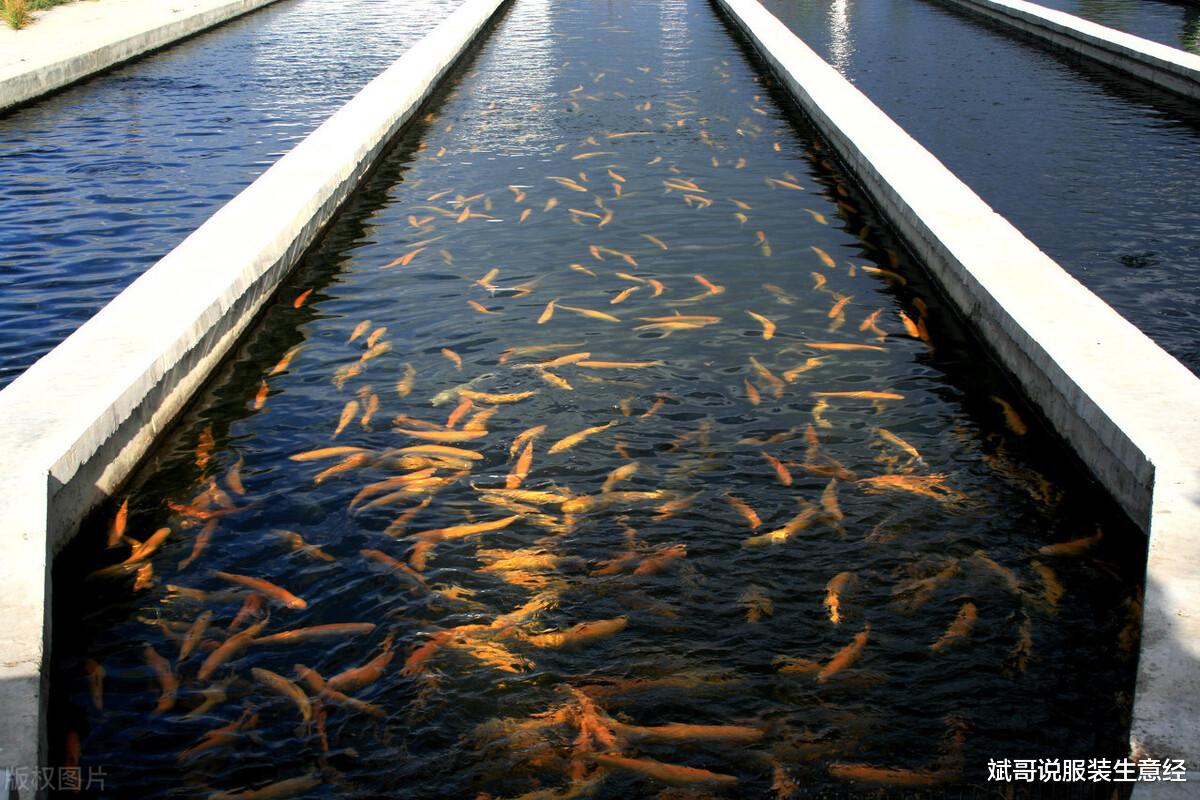 创业|年赚百万的老板揭秘创业的门道:怎么寻找商机?