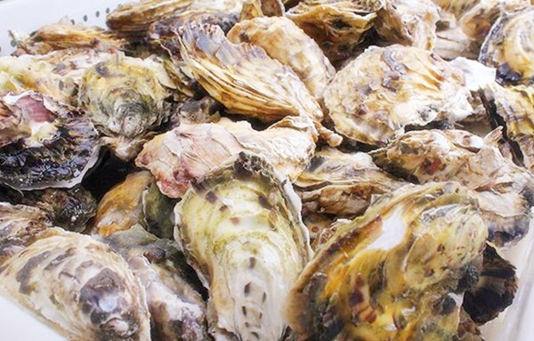 「」买生蚝时，碰见这3种万万不能买，海鲜店老板：从不让家人吃