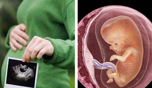 「警察」冷知识普及：关于世界的9个事实，很多人或许都没有听说过