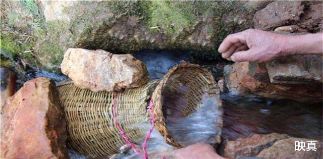 江干|湖北一神秘山洞，常年“吐鱼”上万斤，专家赶来一看既心痛又害怕