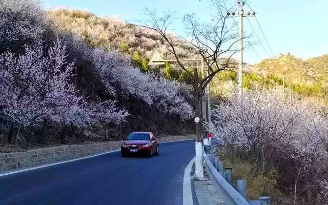 [自驾]五一小假期，自驾之旅，京郊16条醉美的公路，总有一款适合您！