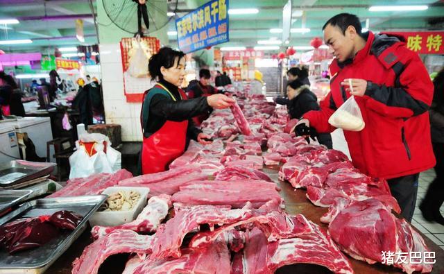 生猪价格|猪价刚涨,非瘟又来,多地猪价跌破14元,元旦要跌回“白菜价”?