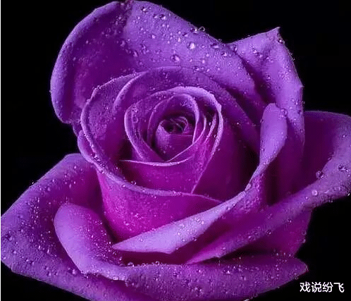 运势：7月3号恭喜3属相，大难已过，钱财滚滚来，生活压力不大，越来越幸福