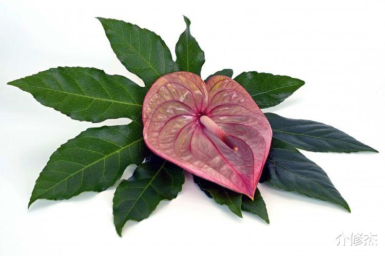 生肖|9月好运不请自来的4大生肖，贵人运高涨，财神随身边，好运连连