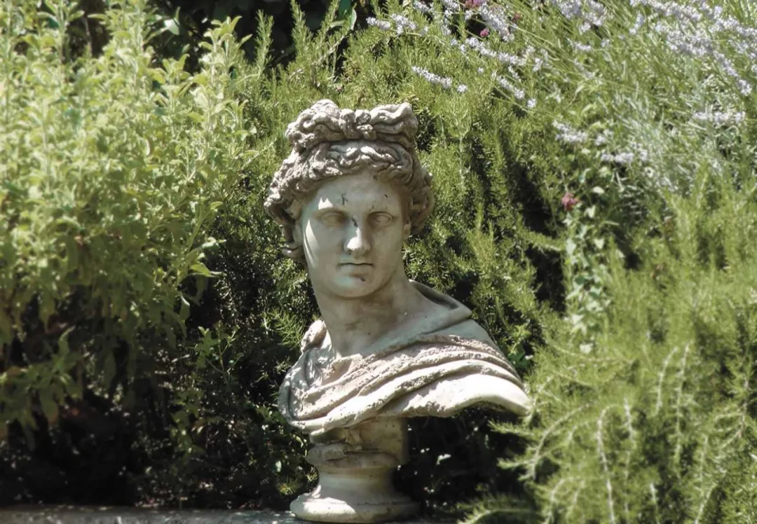 money|Old Money最爱的庭院，原来是这样设计的？！