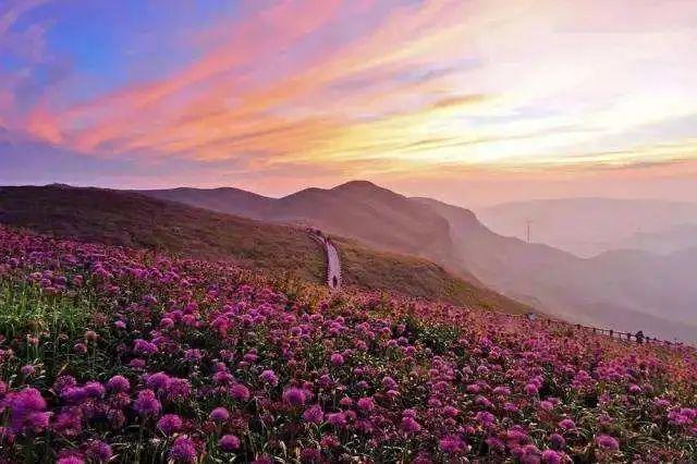 云南|28个最适合9月出行的地方,去邂逅第一场秋色!