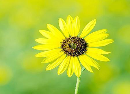 「天蝎座」年轻时很穷，但35岁后发达有钱的三个星座