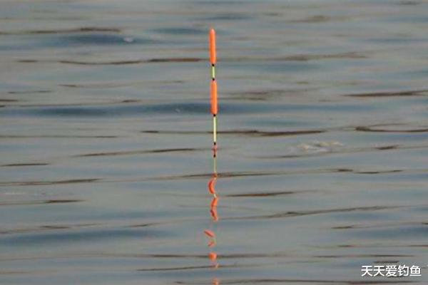 ##立夏过后钓鱼，注意这四个变化，套路应对得当，上鱼更多！