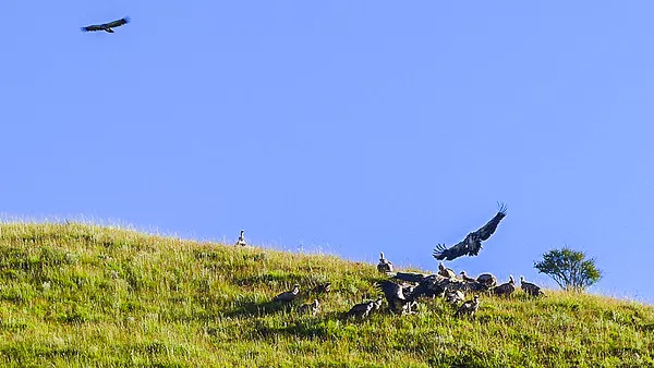 66号公路▲中国的66号公路！这条藏在川西的草原天路，每一帧都是流动的大片|思鹿旅行推荐