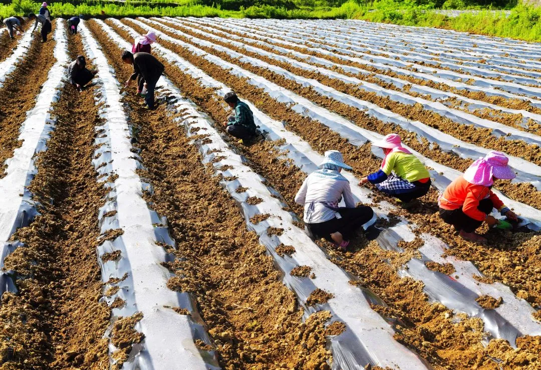 新能源汽车|9月1日起开始施行,与你息息相关