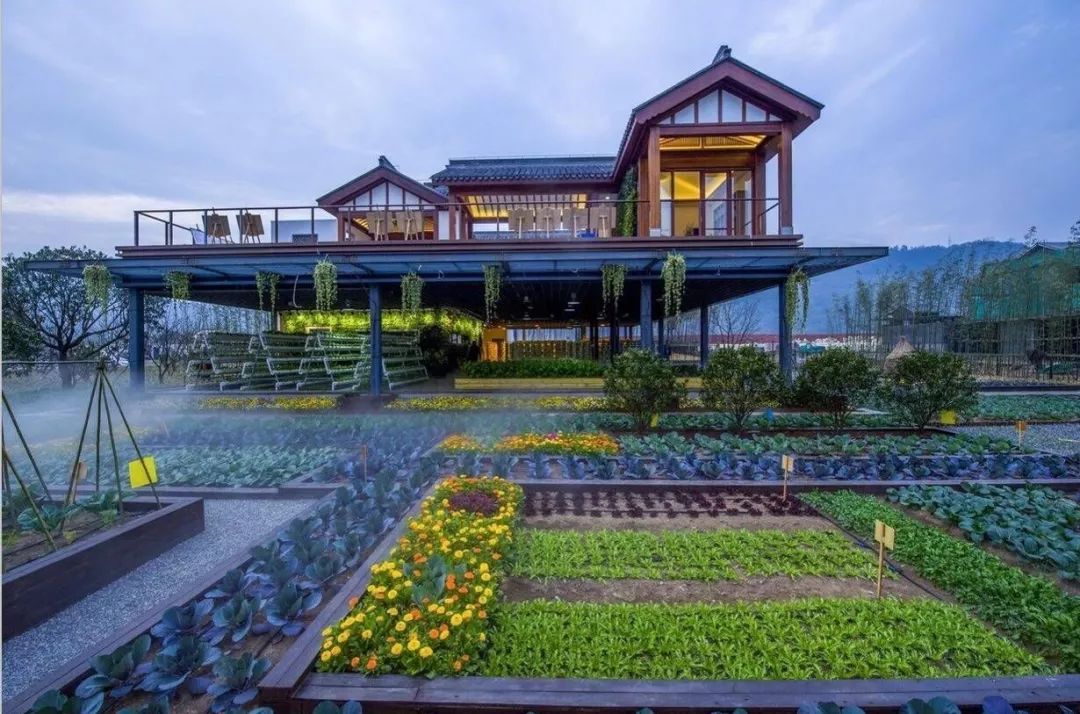 布局大湾区：宋卫平和他的理想小镇