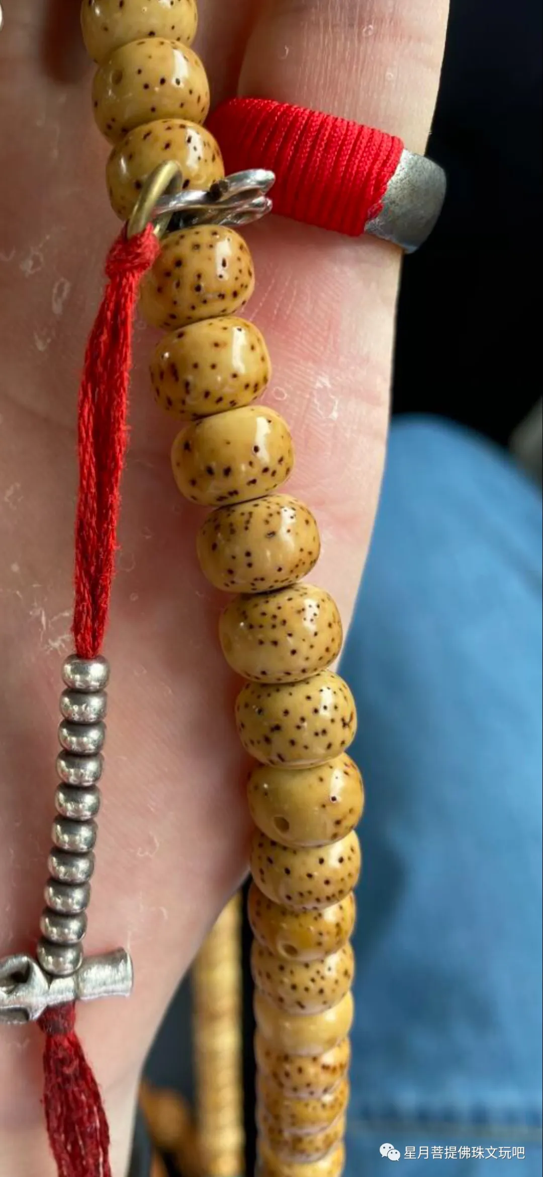 星月菩提|星月菩提顺白开始没有意义了吗？