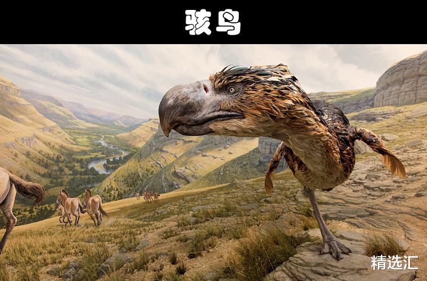 爬行动物|比巨齿鲨还要更加可怕的10个史前生物