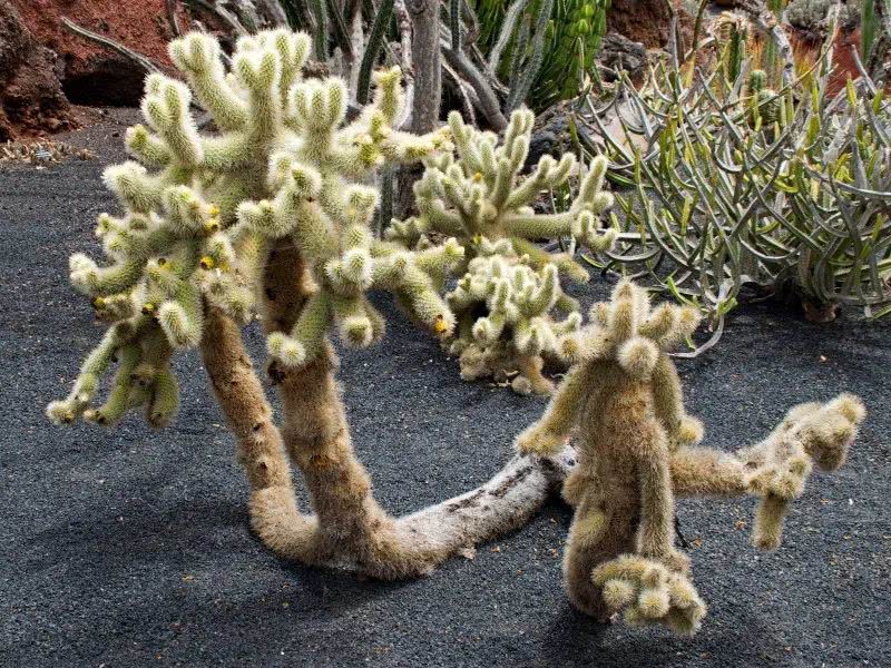 ：未来3个月财运水涨船高，财路大开，能顺利发大财的四属相