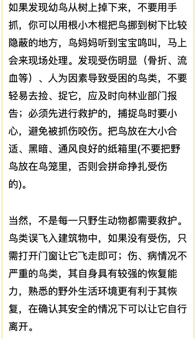老虎@村民捡到两只“小老虎” ！真实身份竟然是…