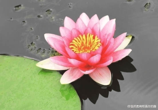 射手座|7月26号开始，4属相运势上涨，财神降临，事业升迁，日子越来越好