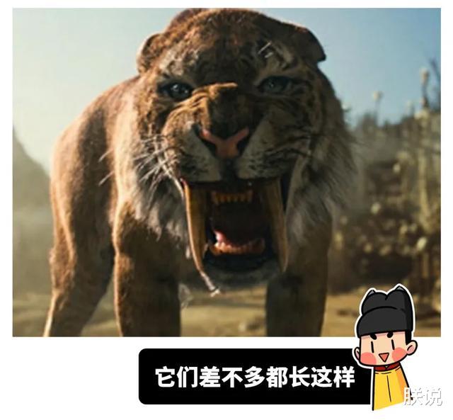 「毒液」新生代生物图鉴：哺乳动物顽强对抗恐龙后代，人类先祖出现