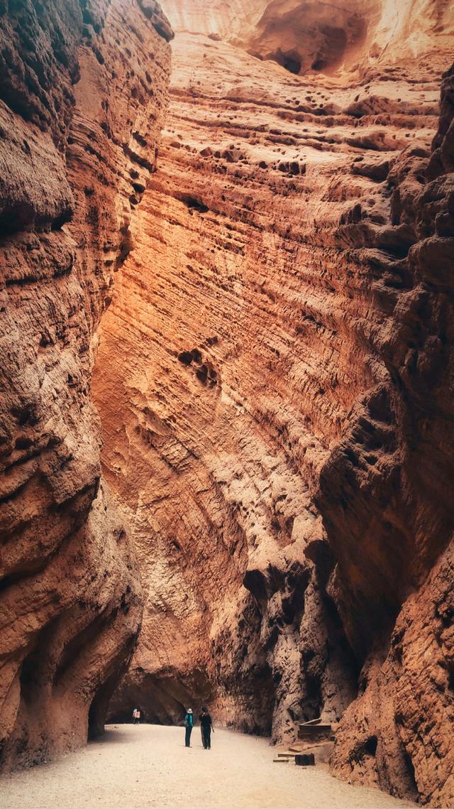 新疆维吾尔自治区|终于！可以去新疆了！最新防疫政策：全疆景点开放、恢复大巴出行