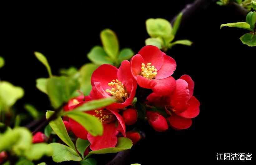 『生肖』惹不起的3生肖，7月2号霉运消散，财神眷顾，票子数不完