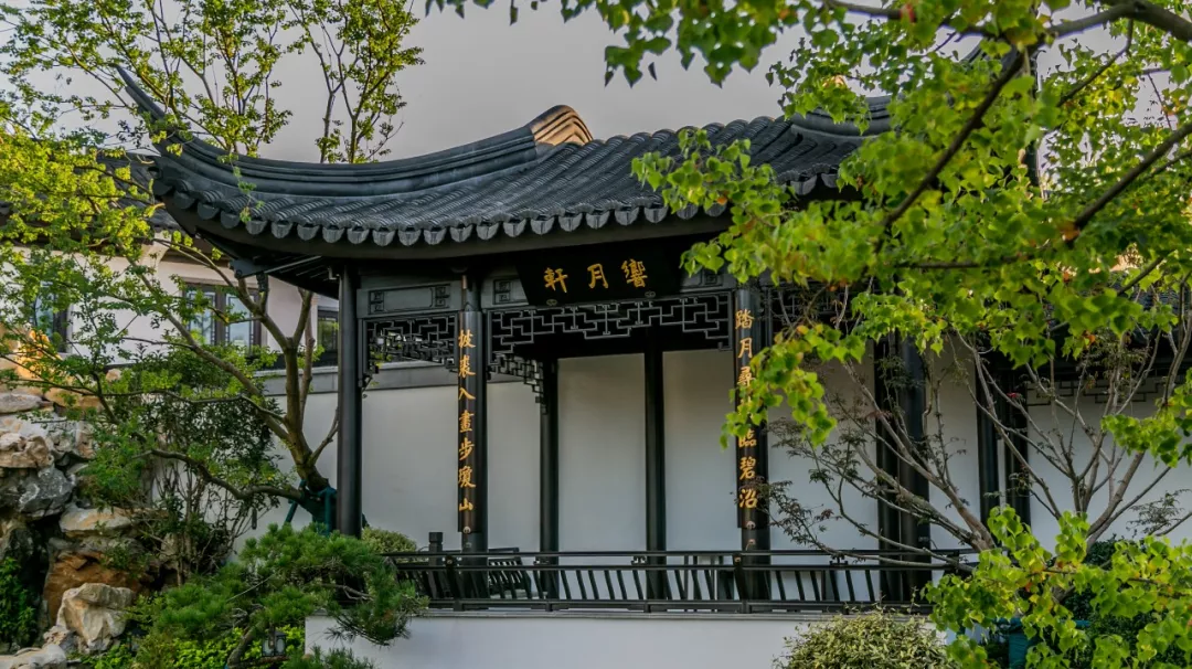 @世间最雅致的院子，让每个中国人产生共鸣