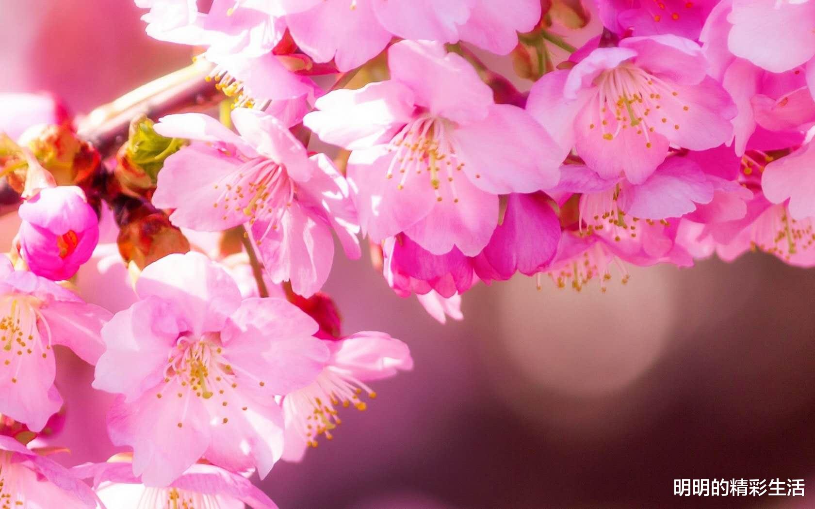 运势|最近半年， 这3个生肖偏财运好，轻就能中个大奖改变一生运势