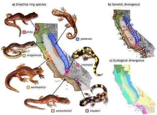 #隔离#为什么人类和其他物种都有生殖隔离?这意味着什么?