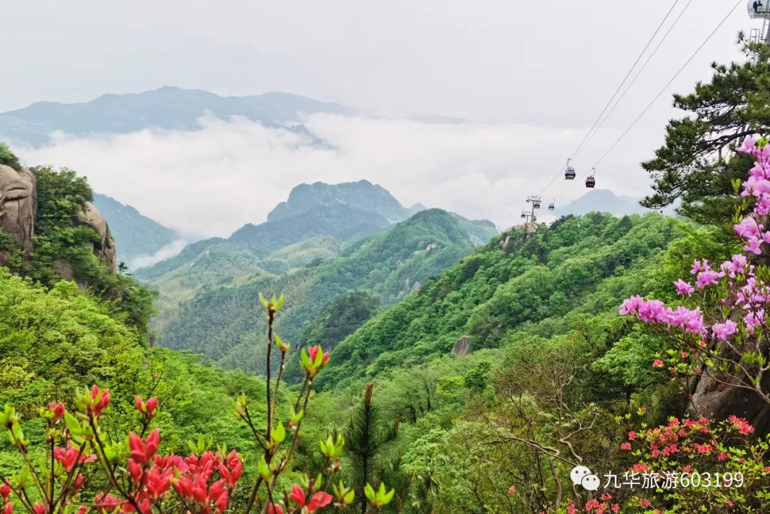 九华山@这个“五一”,九华山为何频频亮相央视?