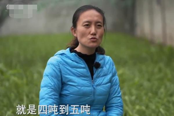 清华大学|她是中国学历最高的农民,清华毕业后种地11年,年收入8百万