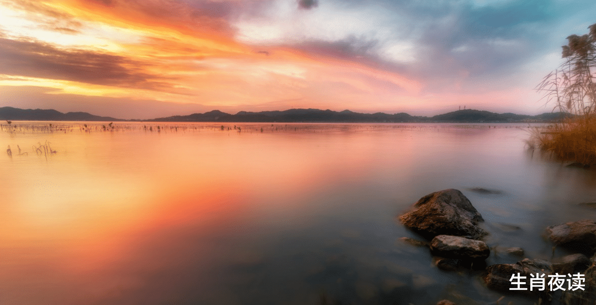 运势|11月，喜鹊欢叫，旧爱回头，跟着前任瞎逛，爱情萌芽，浪漫复合