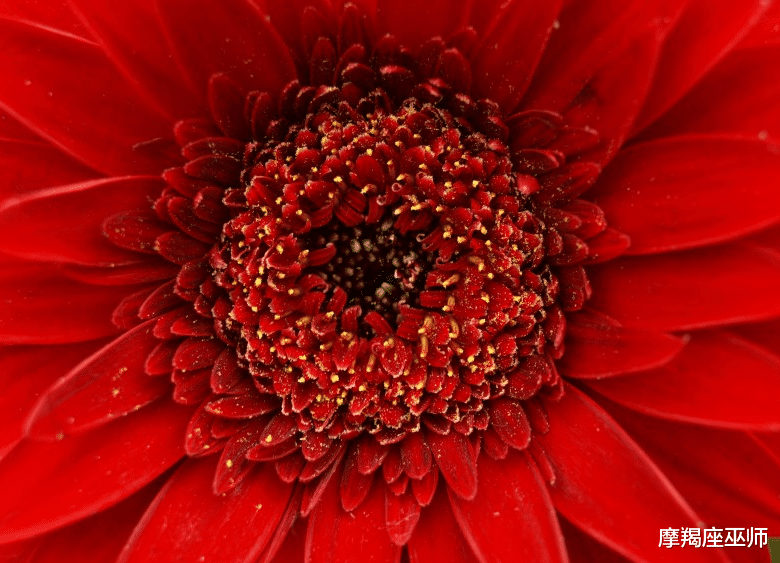 「生肖」4月天公作美，难忘情缘，守得云开，爱人来相逢，甜蜜永驻的生肖