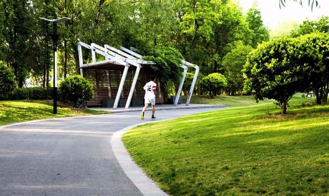 祛湿@身体内湿气太重,怎样轻松去除湿气?不妨学一学这3个方法