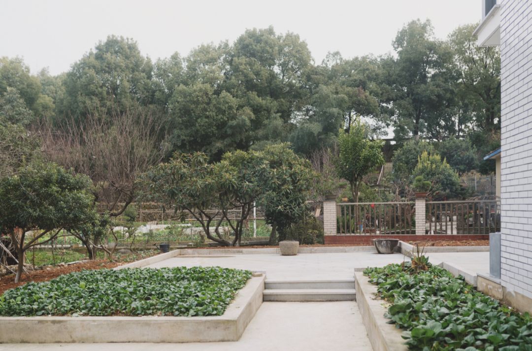 今年过年，如何让父母实现住房自由？三个年轻人用极低成本做到了