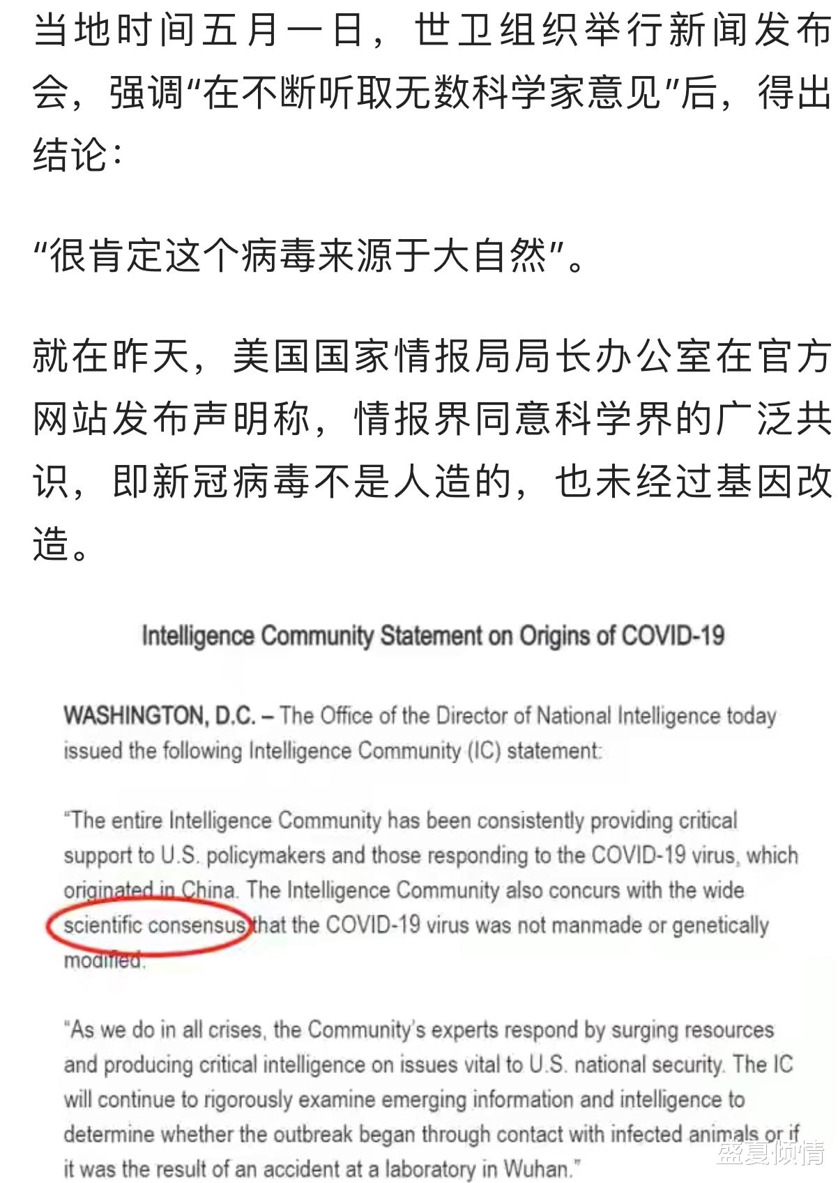 美国：美国累计确诊118万，世界卫生组织表态了，美国松了一口气