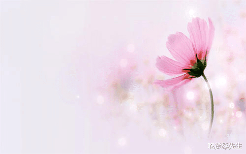 【星座女】颜值高，气质出众，迷倒万千异性，让人赏心悦目的四大星座女