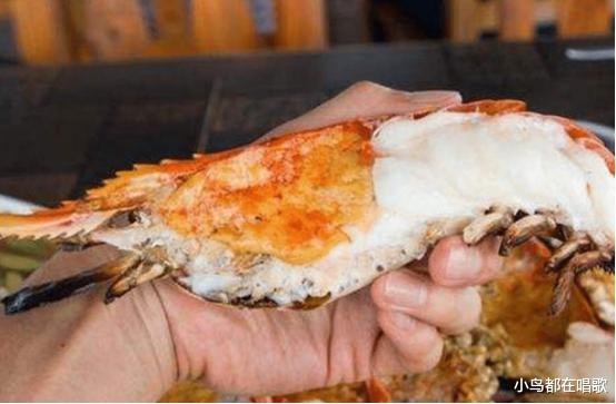 土豆|越南出现1米大虾！求中国吃货帮忙解决，但这次我们选择拒绝