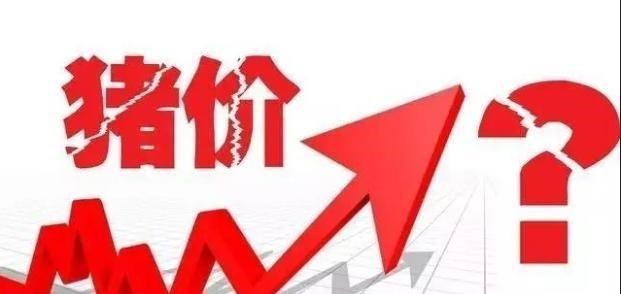 生猪价格|猪价断崖式下跌,后市涨跌如何?专家权威预测!附:10月11日猪价